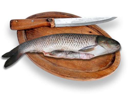 Эксперты прогнозируют подорожание рыбы в России на 15-20%