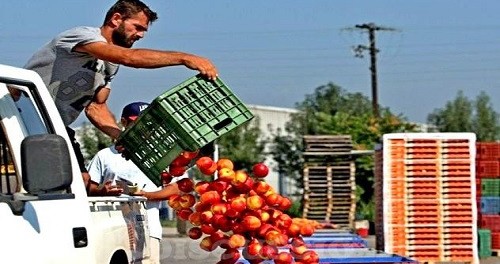 Санкционные продукты будут искать по всей стране Санкционные продукты будут искать по всей стране