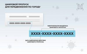 Цифровой пропуск в Москве и Подмосковье