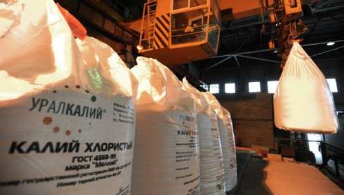«Уралкалий» может стать непубличной компанией и слиться с «Уралхимом»