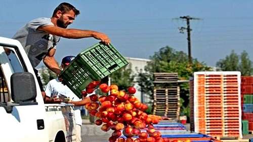Санкционные продукты будут искать по всей стране